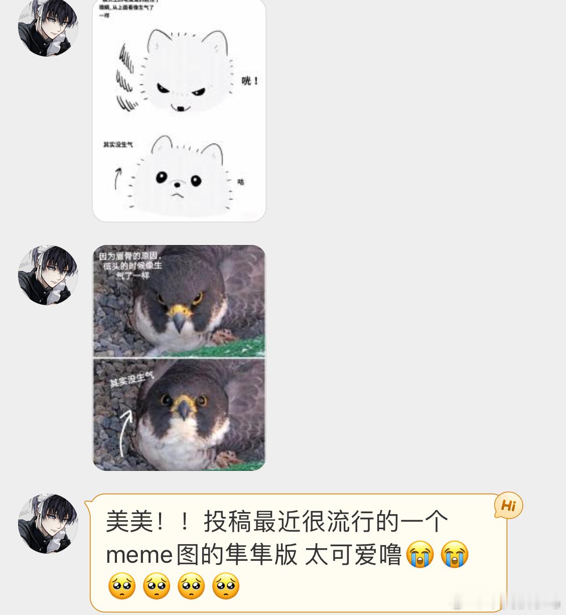 百变游隼[开学季] ​​​