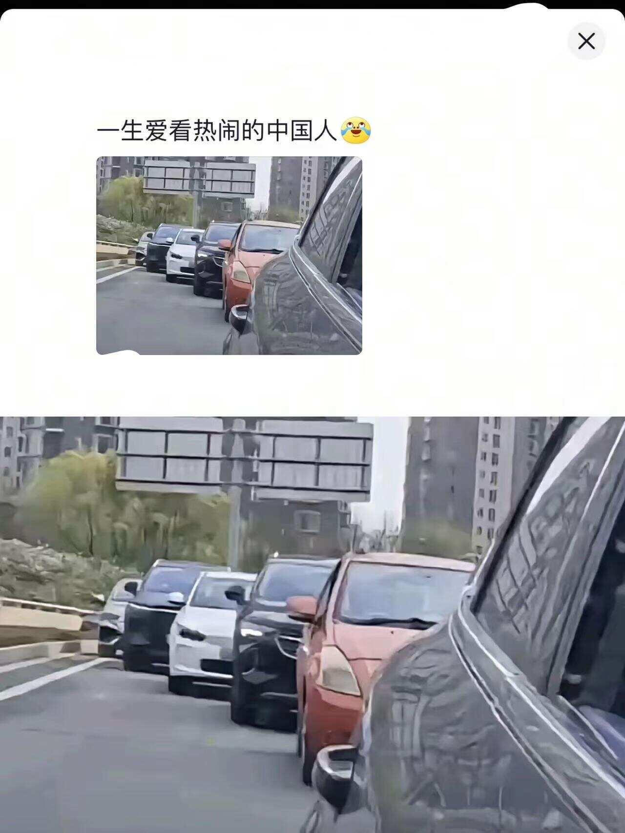《一生爱看热闹的中国人》哈哈哈哈哈哈哈哈哈 