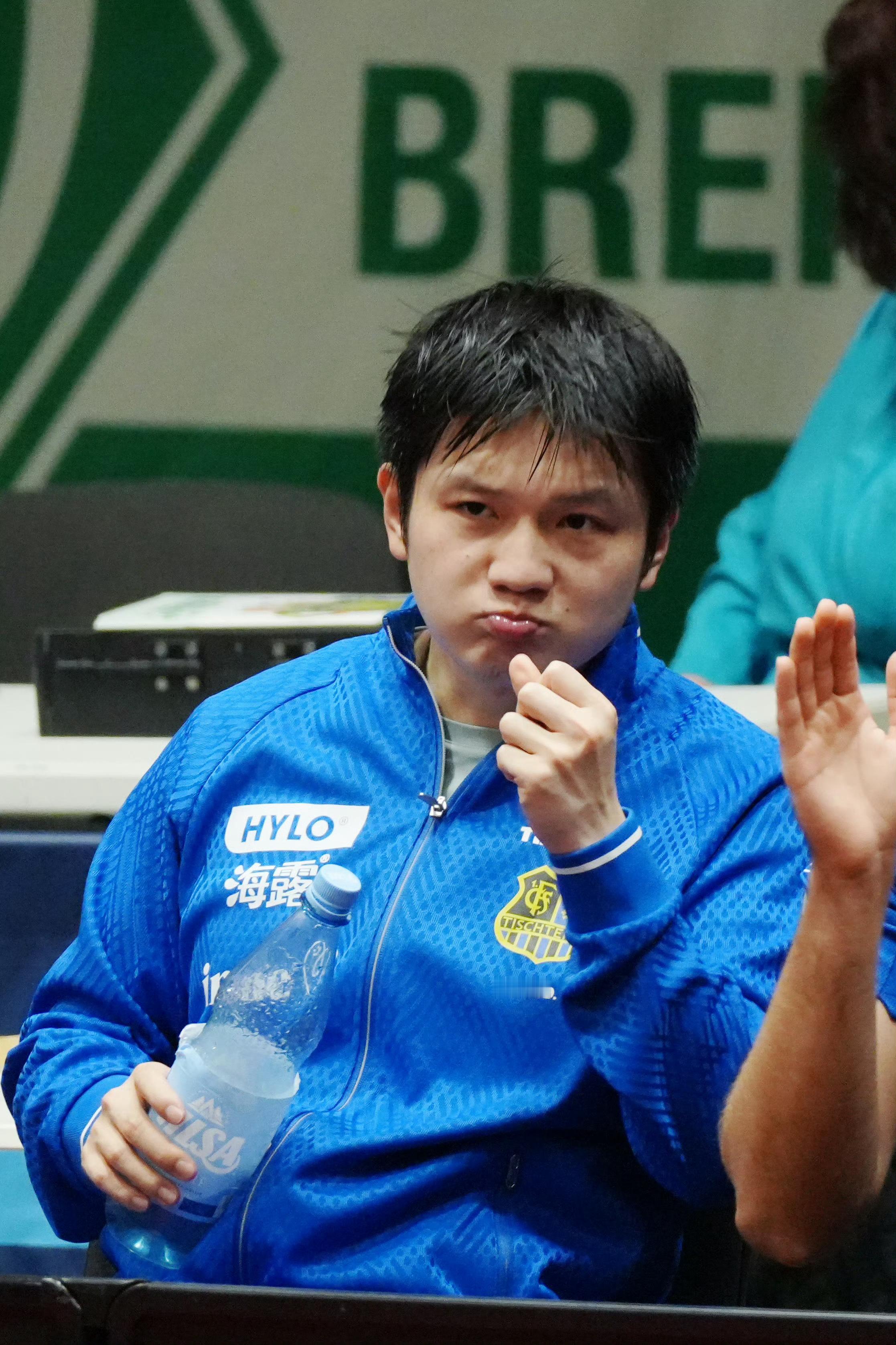 樊振东12月德甲首秀期待樊振东