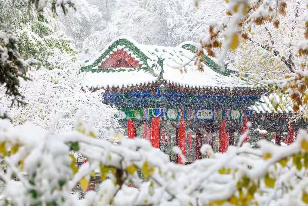 10月15日乌鲁木齐迎来初雪啦！比常年（1991 - 2020年平均）的10月1