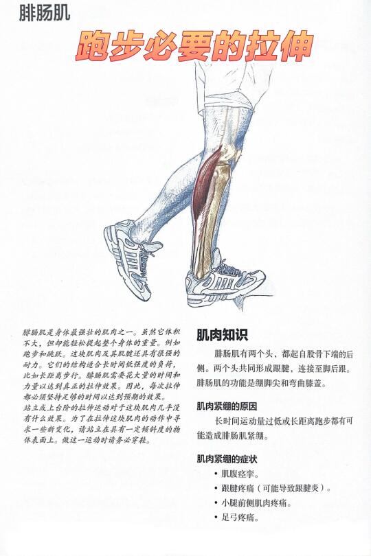 🔥 3分钟拯救“肌肉腿”！小腿立马细一圈！