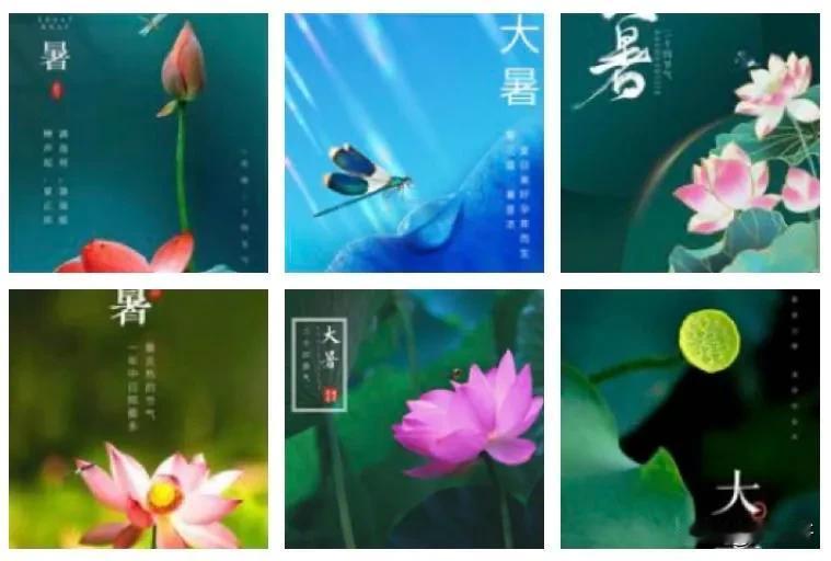 【啰唝曲·今又大暑】
文/风鸽（张晓峰）
一
大暑炎炎热，蛙鼓震池塘。
莺飞寻翠
