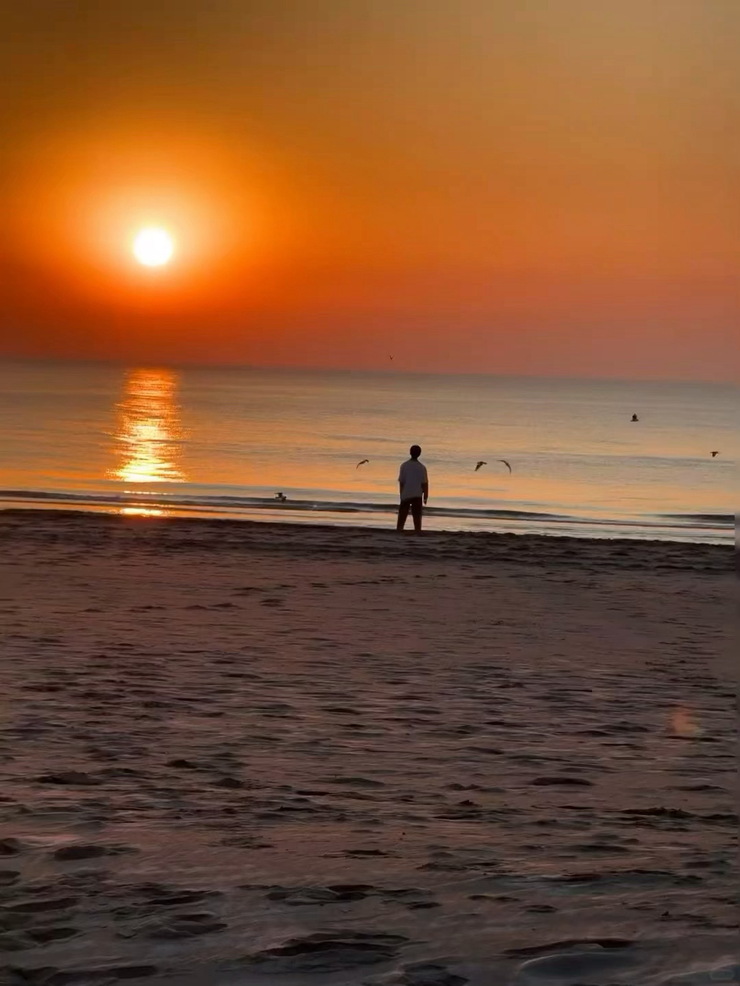 闺蜜你怎么偶遇了千玺！！ 大早上的我受刺激了 我不得劲网友拍的日出照里有易烊千玺