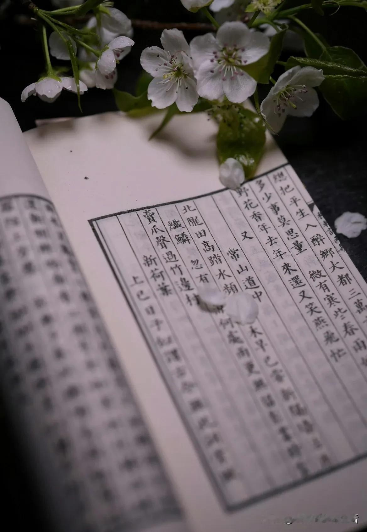 换上春衣，准备接受冬天的离开，寒冷离去，也离去冷热交替的无常。春对冬说，季节轮回