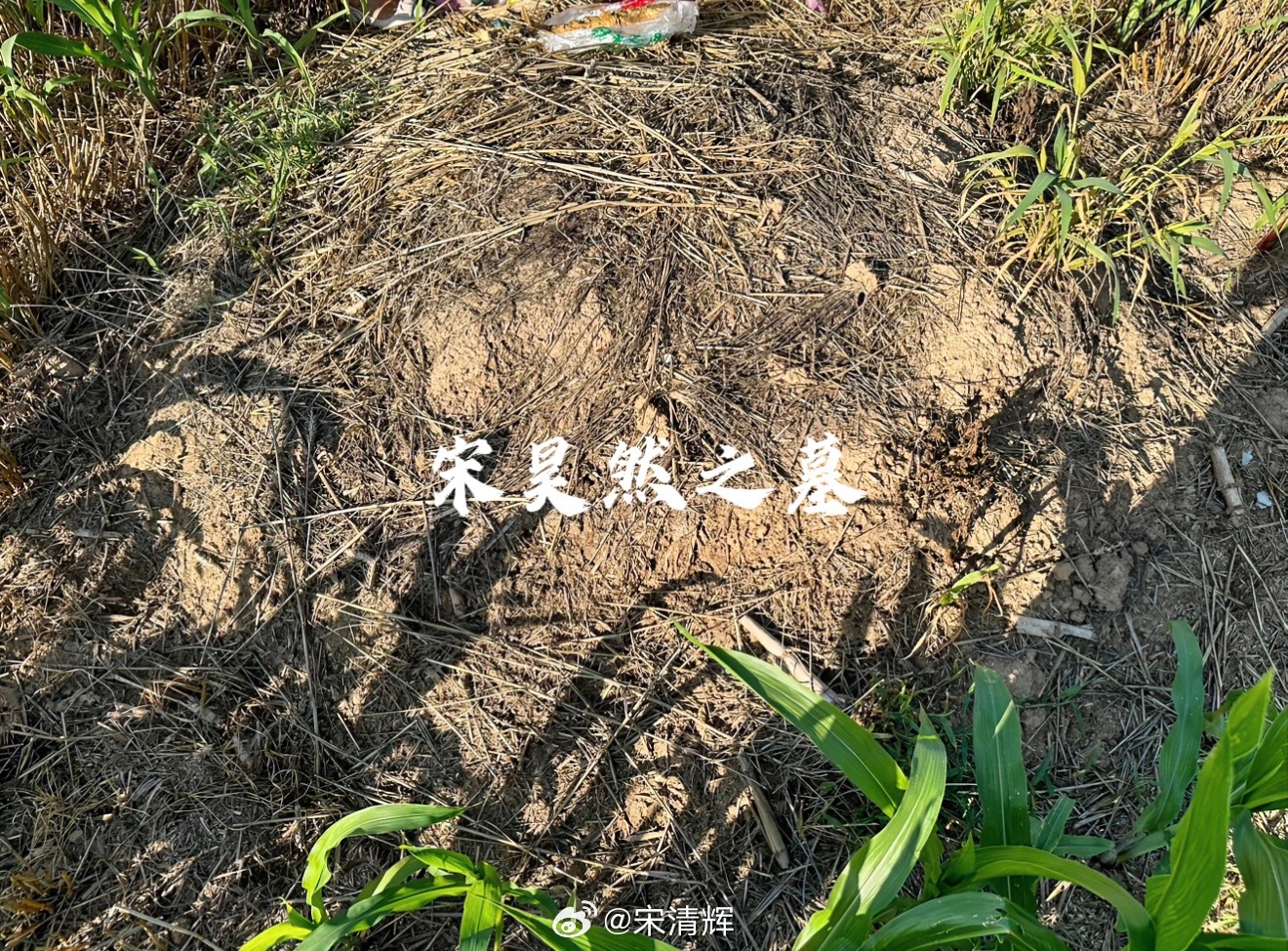 总在记忆里 （1595）：回不去的河南，虽然我把孩子埋葬在那里。宋昊然大画家 网