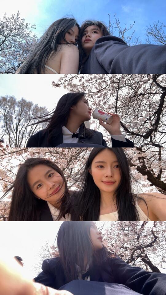 樱花树下站谁都美好 🌸