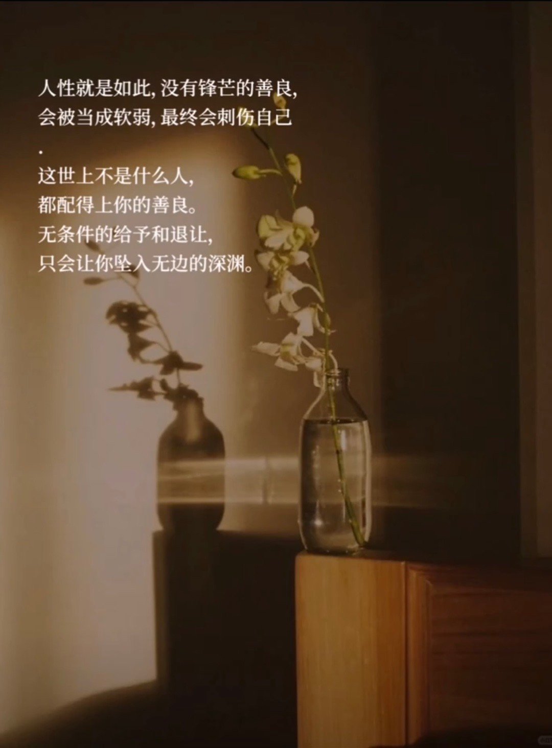 善良是选择，锋芒是智慧，二者兼备方为成熟。带刺的玫瑰最珍贵，有锋芒的善良最有力。