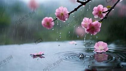 健康智慧对联
下联：细雨润红花，诚邀上联
上联：春风拂绿树
下联：细雨润红花