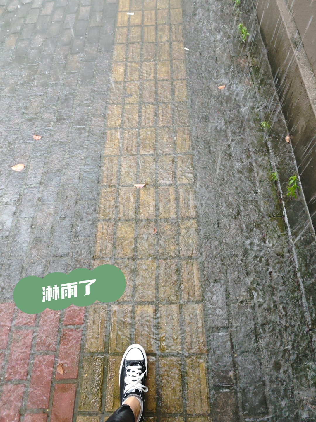 第二次下这么大的雨了，去了那么多地方，芜湖真的很神奇，芜湖起飞🛫，鞋子又泡水了