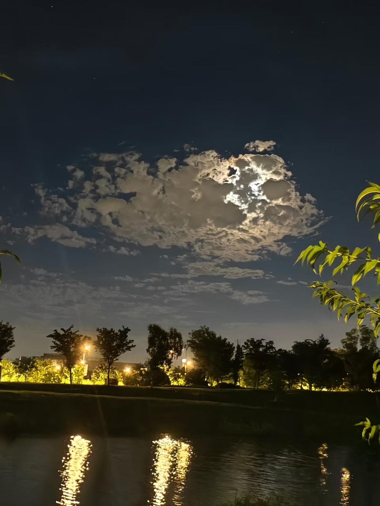 夜幕降临，星光点点，静谧公园的浪漫时光。
上联:月映湖光静，
下联:夜色入诗行。