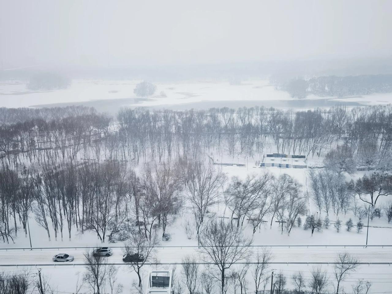 下雪就得这样玩在新春雅节即将到来之际，沈阳终于下雪了。这是沈阳入冬以来的第2场雪