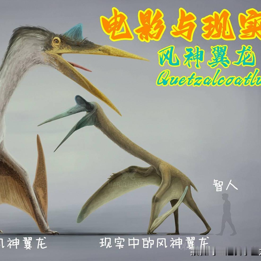 电影骗了多少人？《侏罗纪世界3》手撕飞机的风神翼龙，真实体型太颠覆！
    看