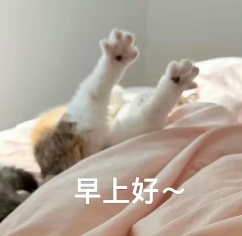 早，各位铁/金/钻粉，星期四四四四啦！