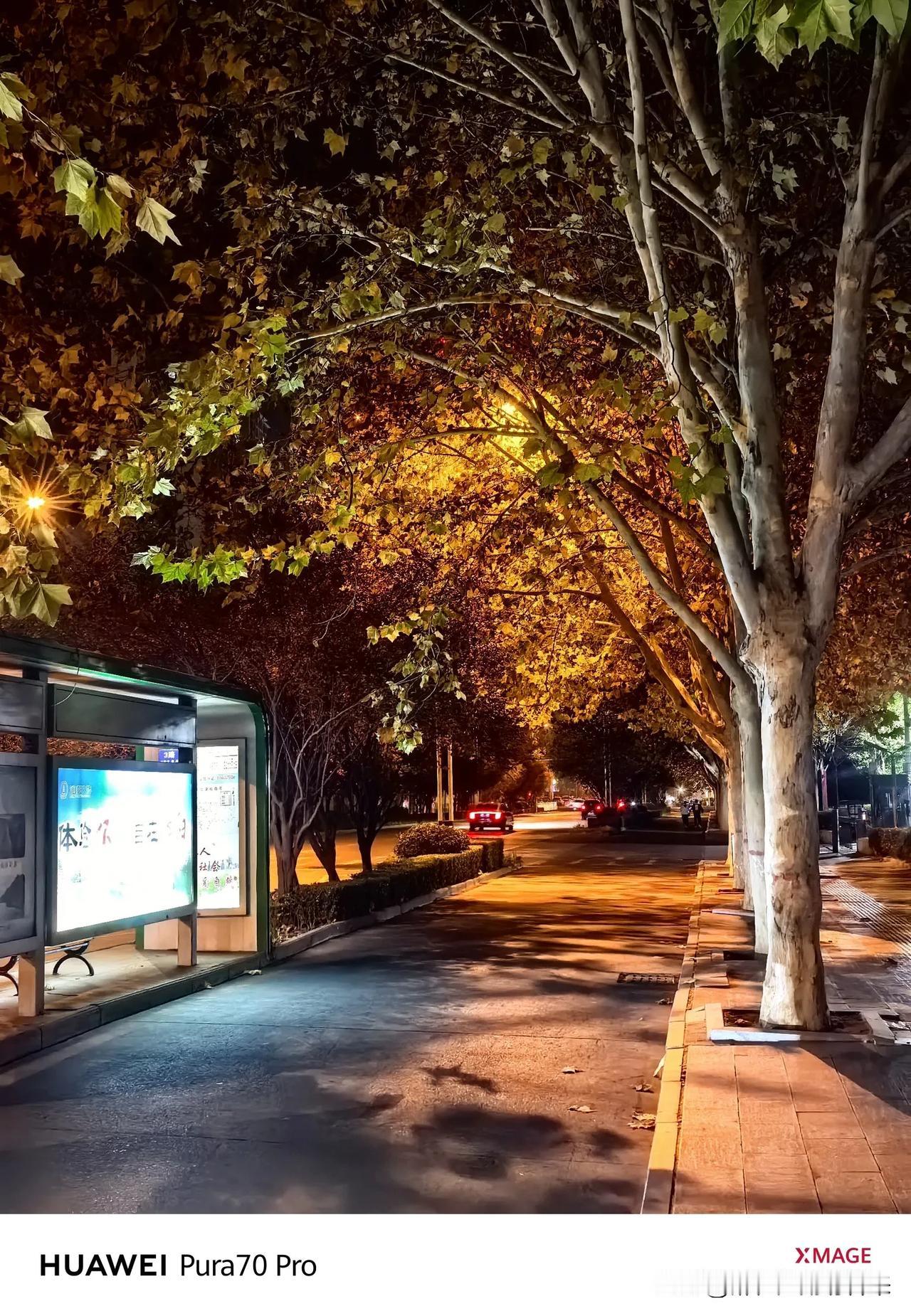 冬夜漫步，树影婆娑，灯火阑珊。🍂🌙
愿你我都安康，快乐！