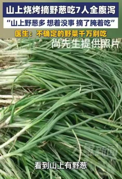 “悲剧还是发生了！”河南驻马店，7个男子去山上野炊，谁知，等他们到目的地后发现没