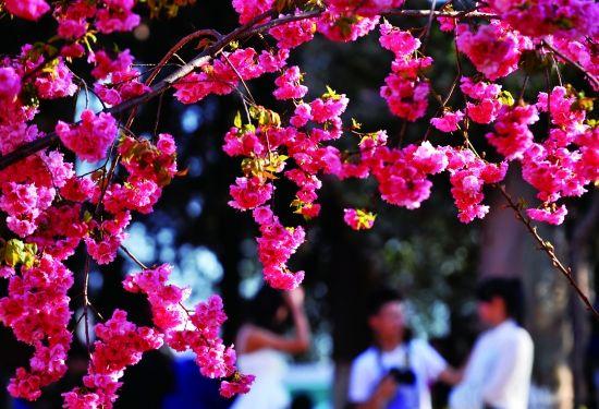 3月23号大A看盘重点剖析！
回顾本周末消息面，外围地缘局势仍无利好消息传出，而