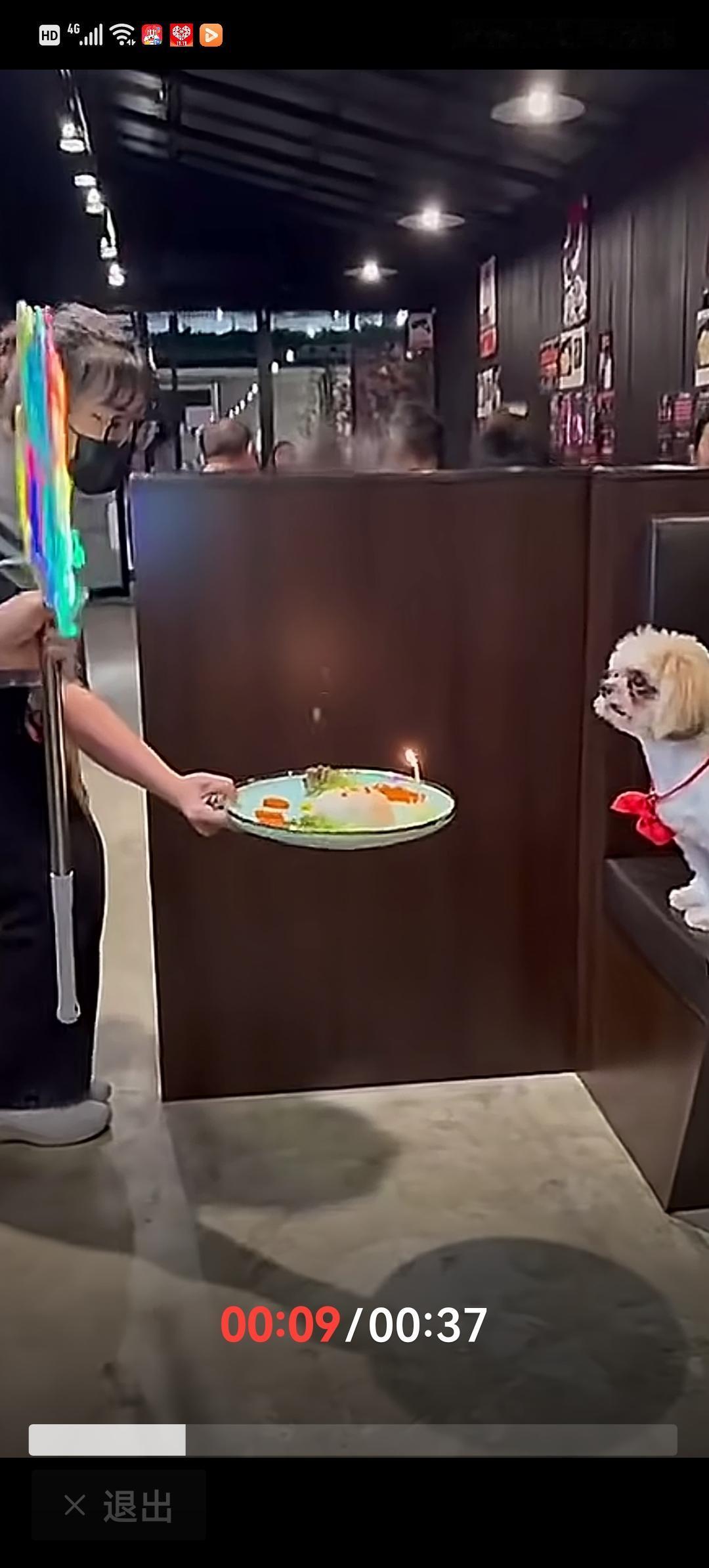 赵本山说这个世界太疯狂，老鼠都给猫当伴娘了！老鼠再疯再狂也没有人疯狂，带狗下饭店