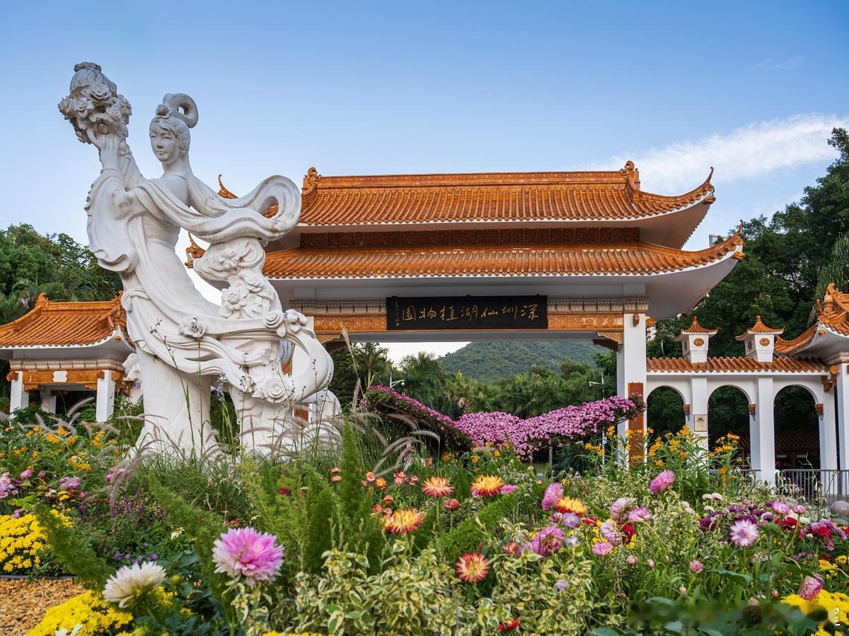 家族企业的传承之困，往往始于股权的顶层设计。家族内耗、控制权争夺其根源常在于股权