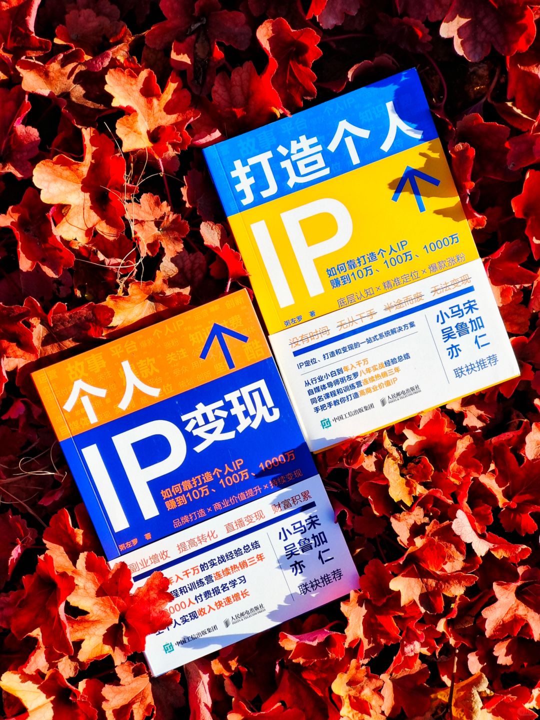 粥左罗教你如何打造个人IP并快速涨粉