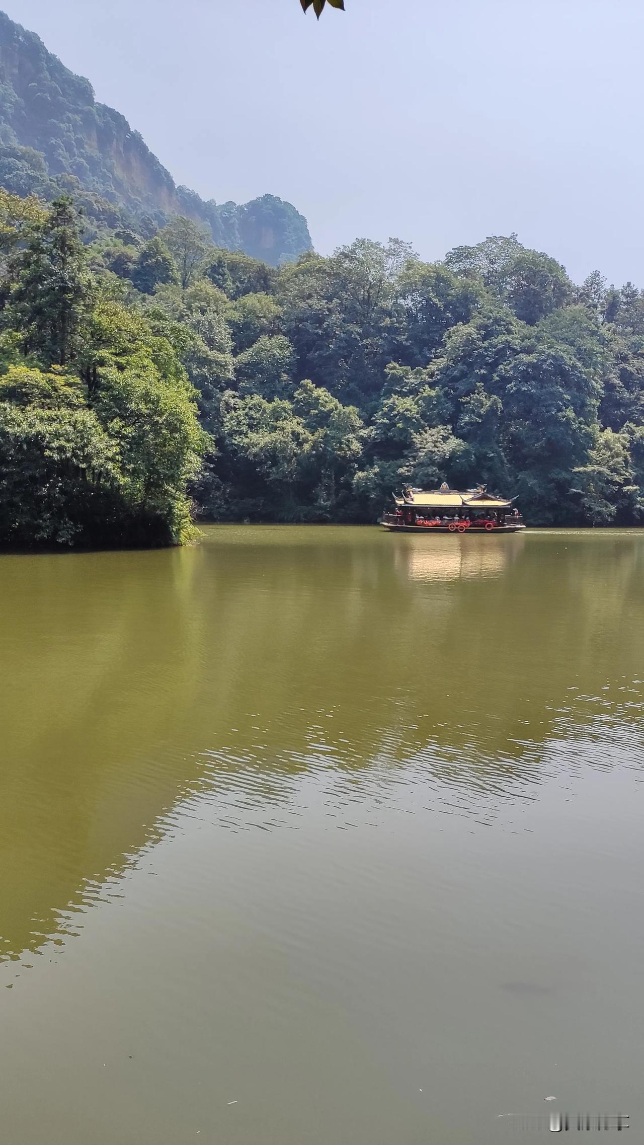 #秋日生活打卡季#青城山风景#秋日出游随手拍#