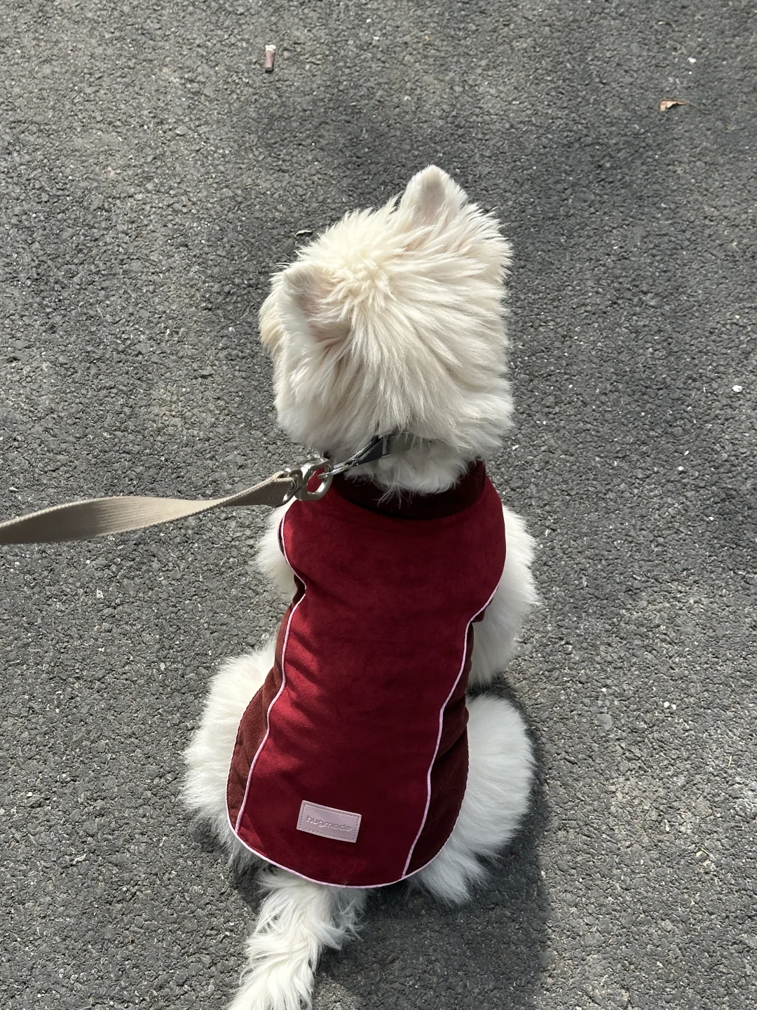 红红火火过大年！