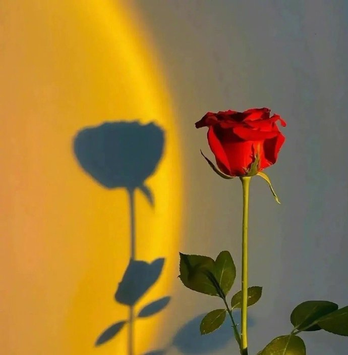 “付出时，我倾尽所有收回时，我滴水不漏” 