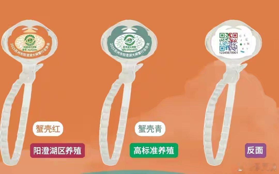 假蟹泛滥只因利差大，正宗蟹产量少却价高，洗澡蟹、套牌蟹趁机以次充好。正宗蟹青壳白