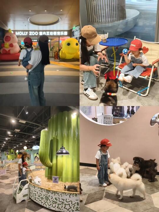 竟然不知道吴江还有这么好玩的萌宠乐园