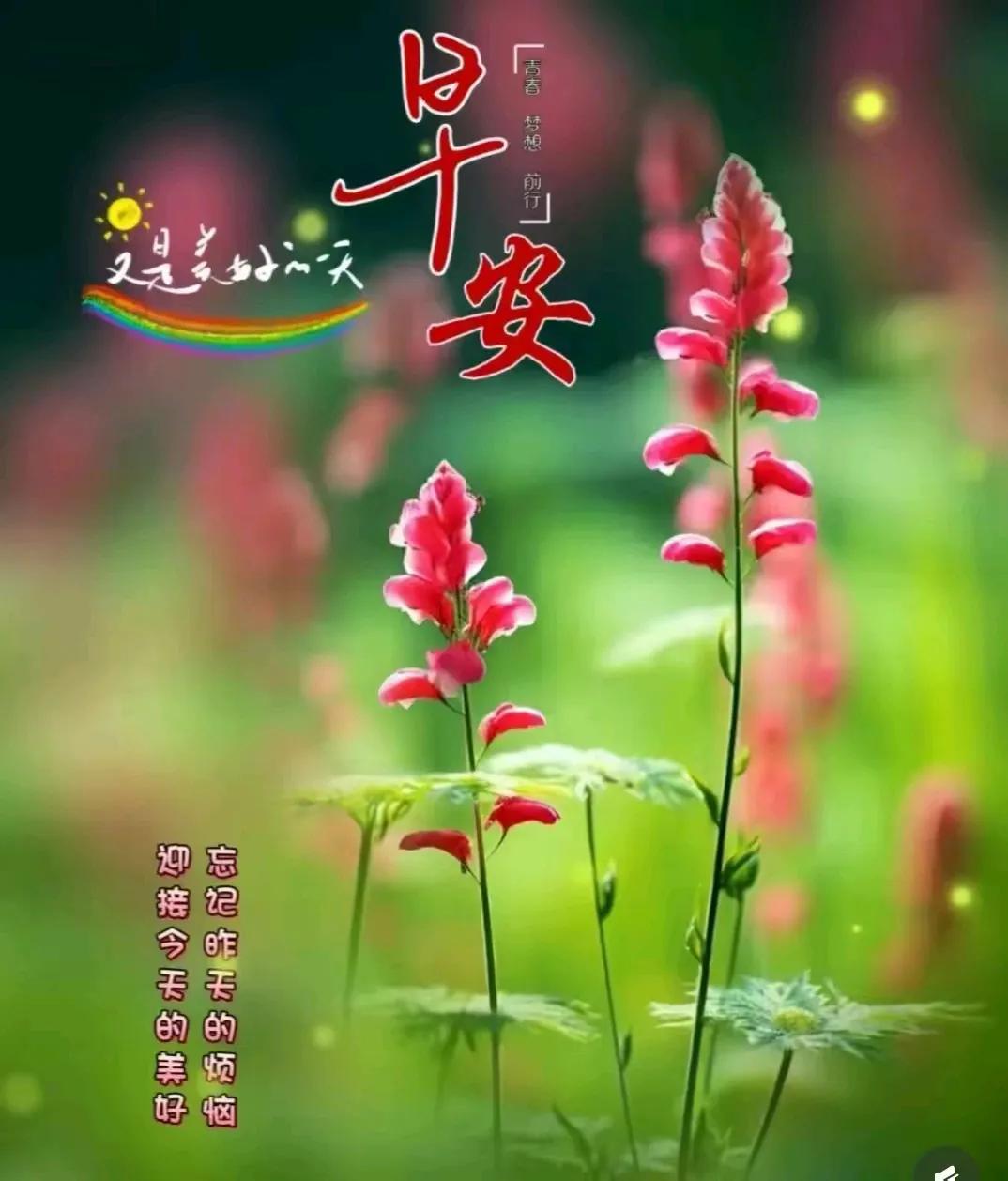 秋风起，落叶飘，九月的田野披上金色的纱。时光如梦，岁月如歌，秋的静谧角落，诉说着