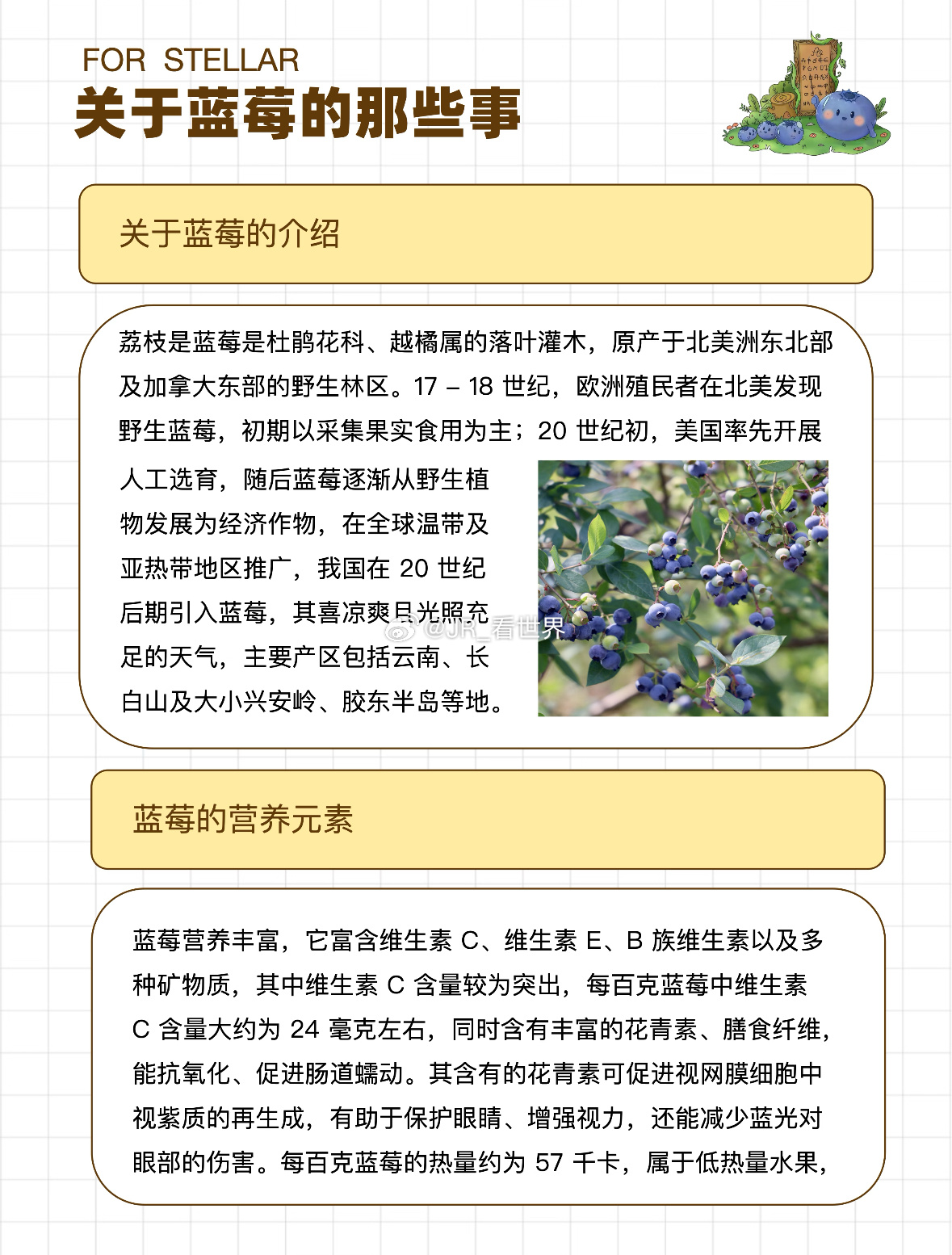 一般都是买一盒分两天吃完主要是一次吃一盒也吃不完啊不得留点肚吃其他水果么女子连吃