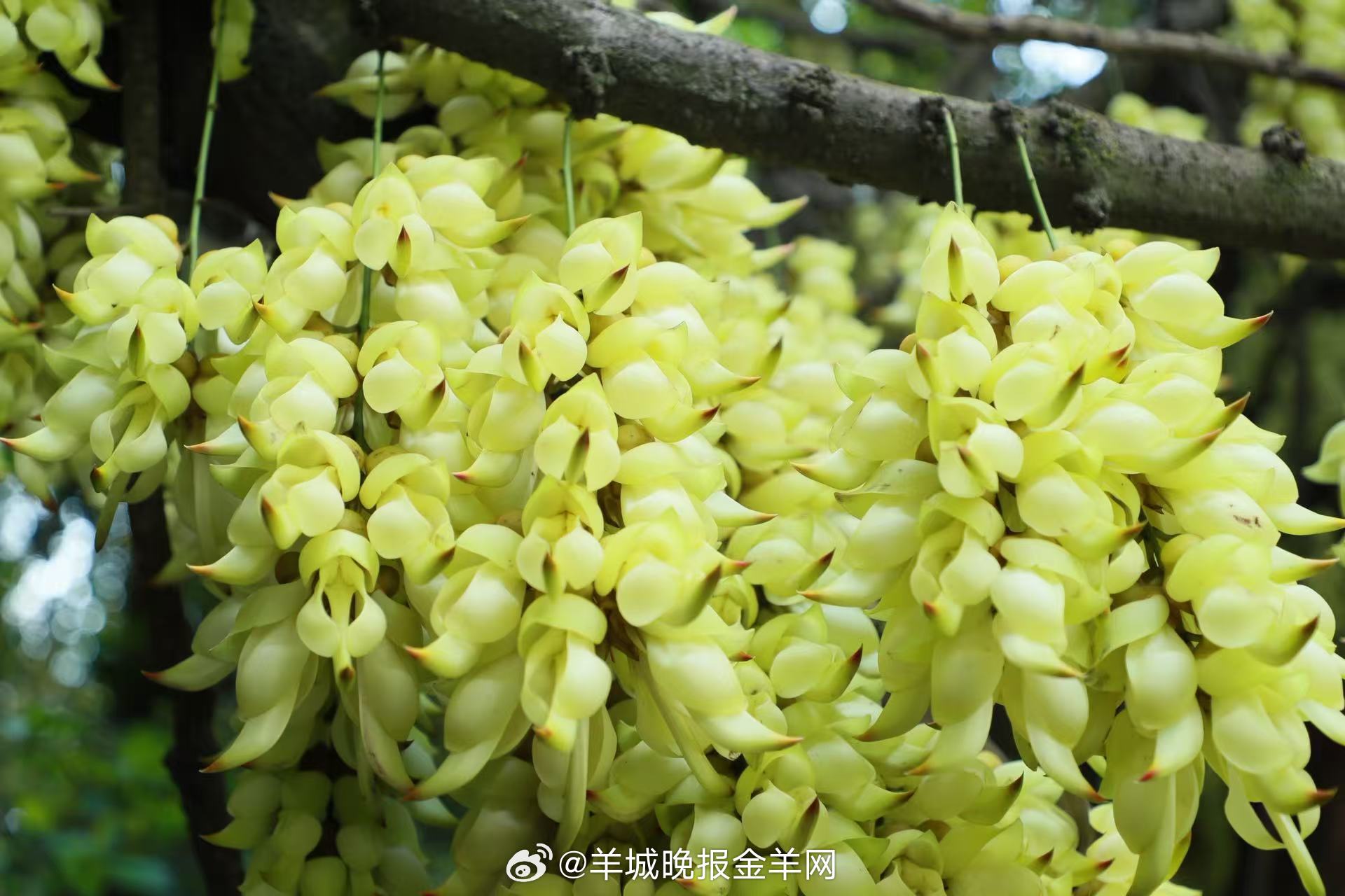 #晚安#好好爱自己、爱朋友、爱家人，踏实走好脚下的每一段路，在当下的时光里沉淀成