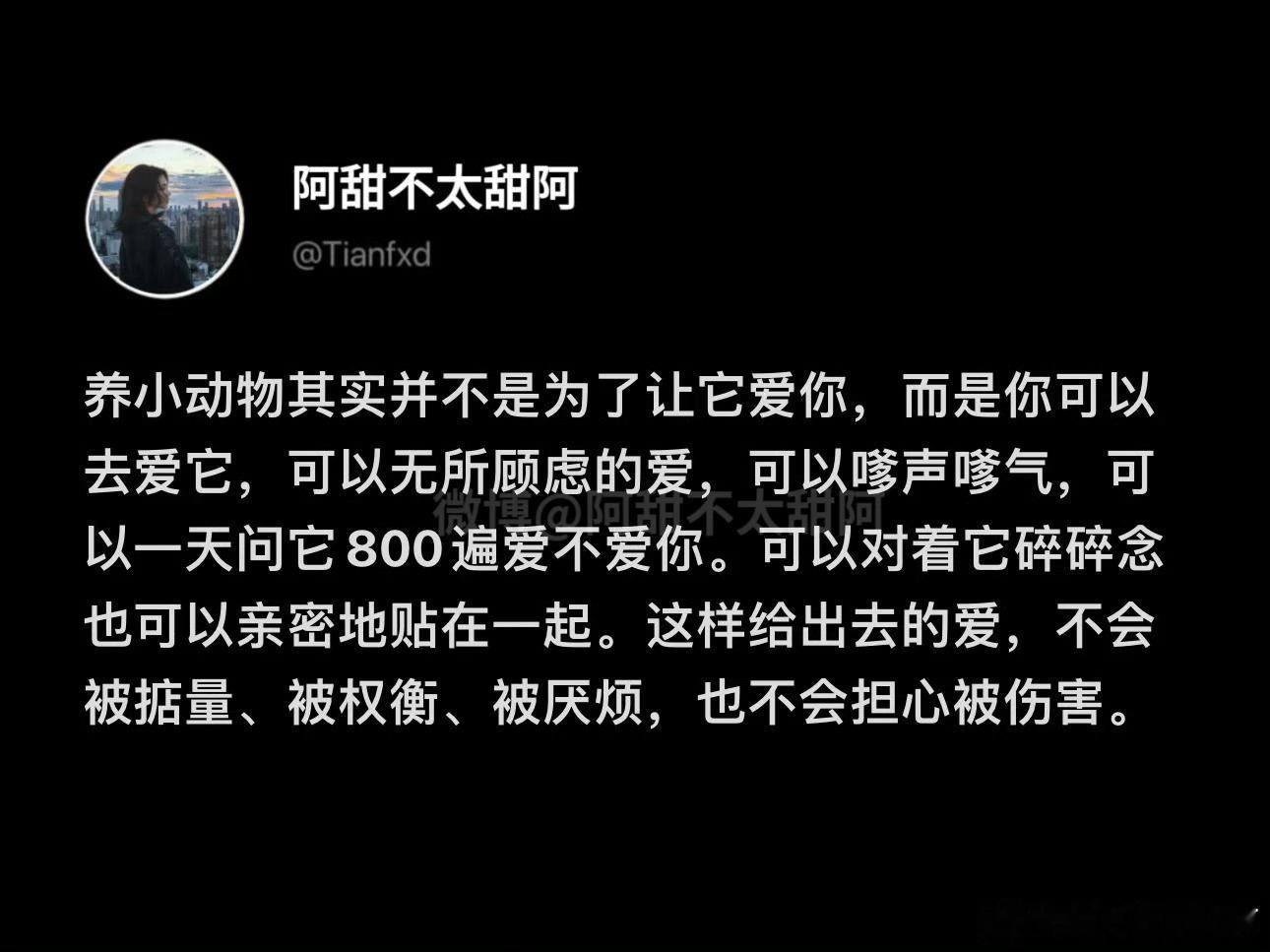 这或许就是养宠物的意义吧 ​​​