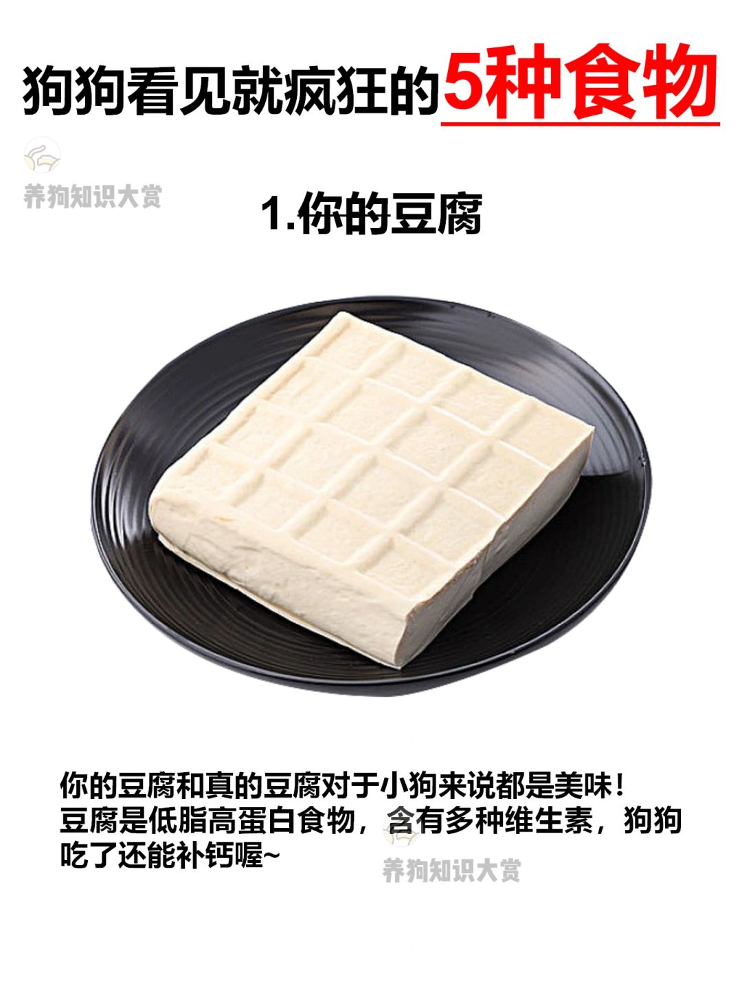 小狗看见就疯狂的5种食物‼️