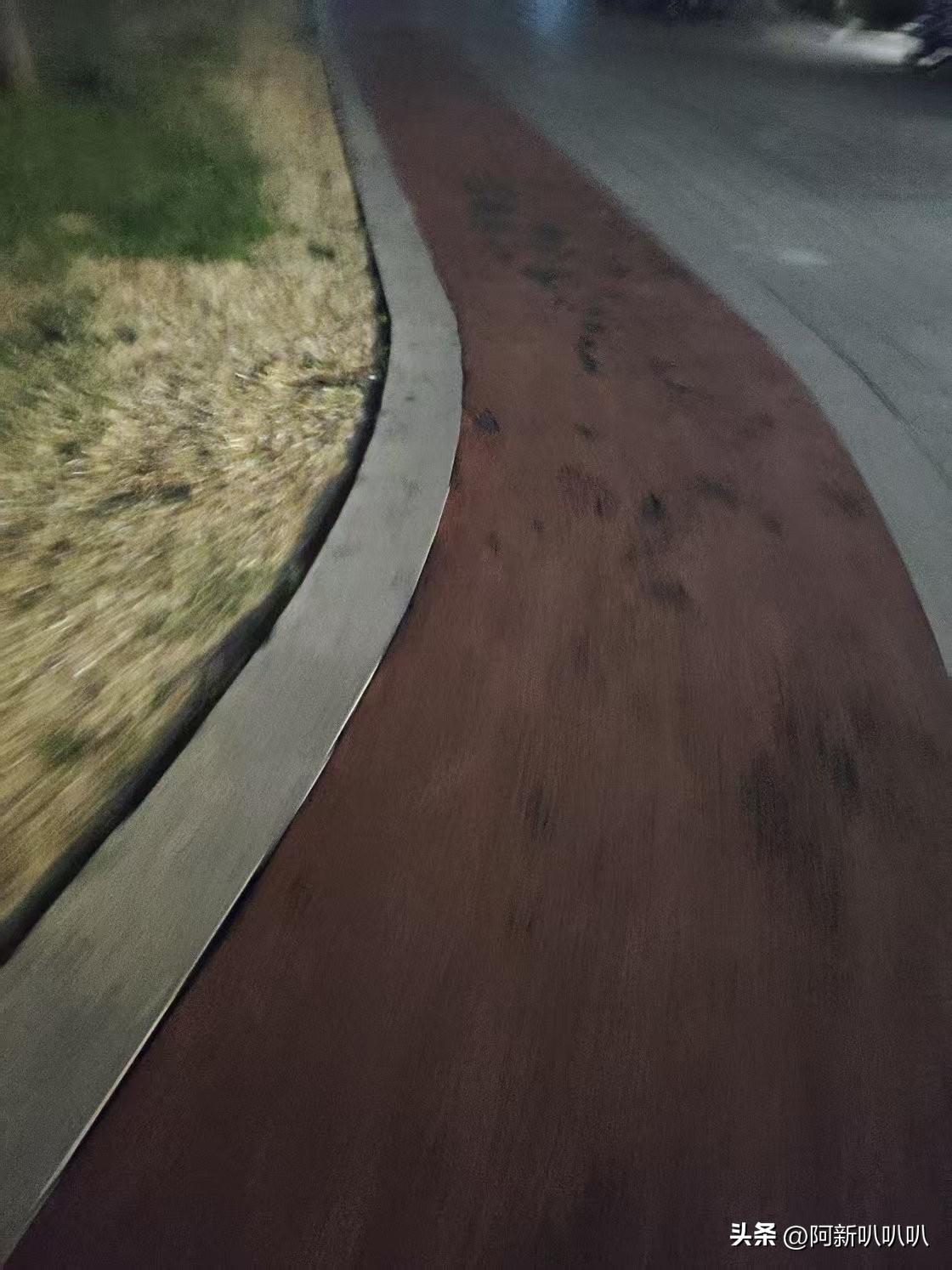 今天早上起来，跑了一个5公里，感觉真舒服呀！下次继续跑。