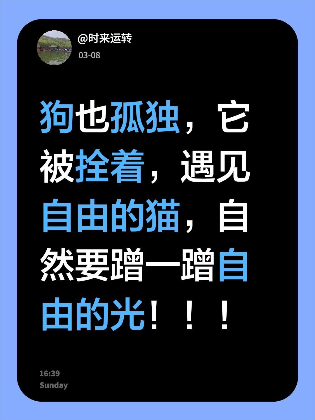 我评论了@身高一米九才叫阿九 的作品：
狗也孤独，它被拴着，遇见自由的猫，自然要