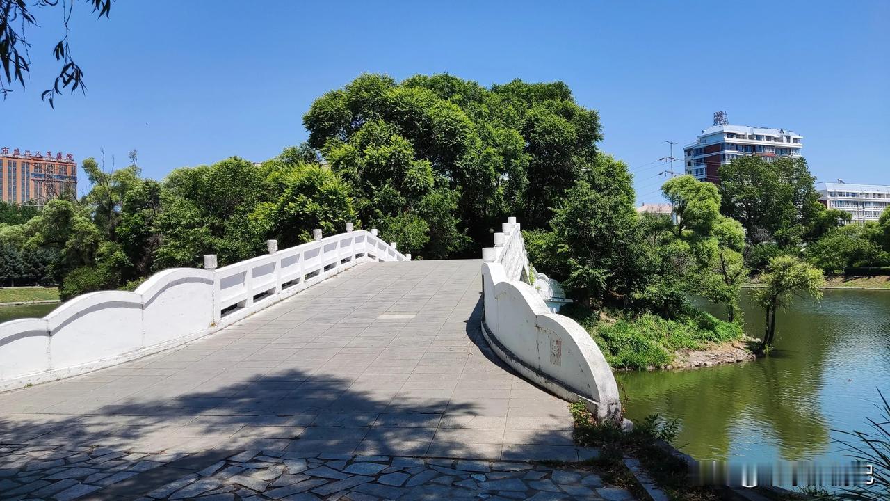 我向条友汇报
头条条友们大家早上好：今天我要向条友们汇报一下我上一星期收入是多少
