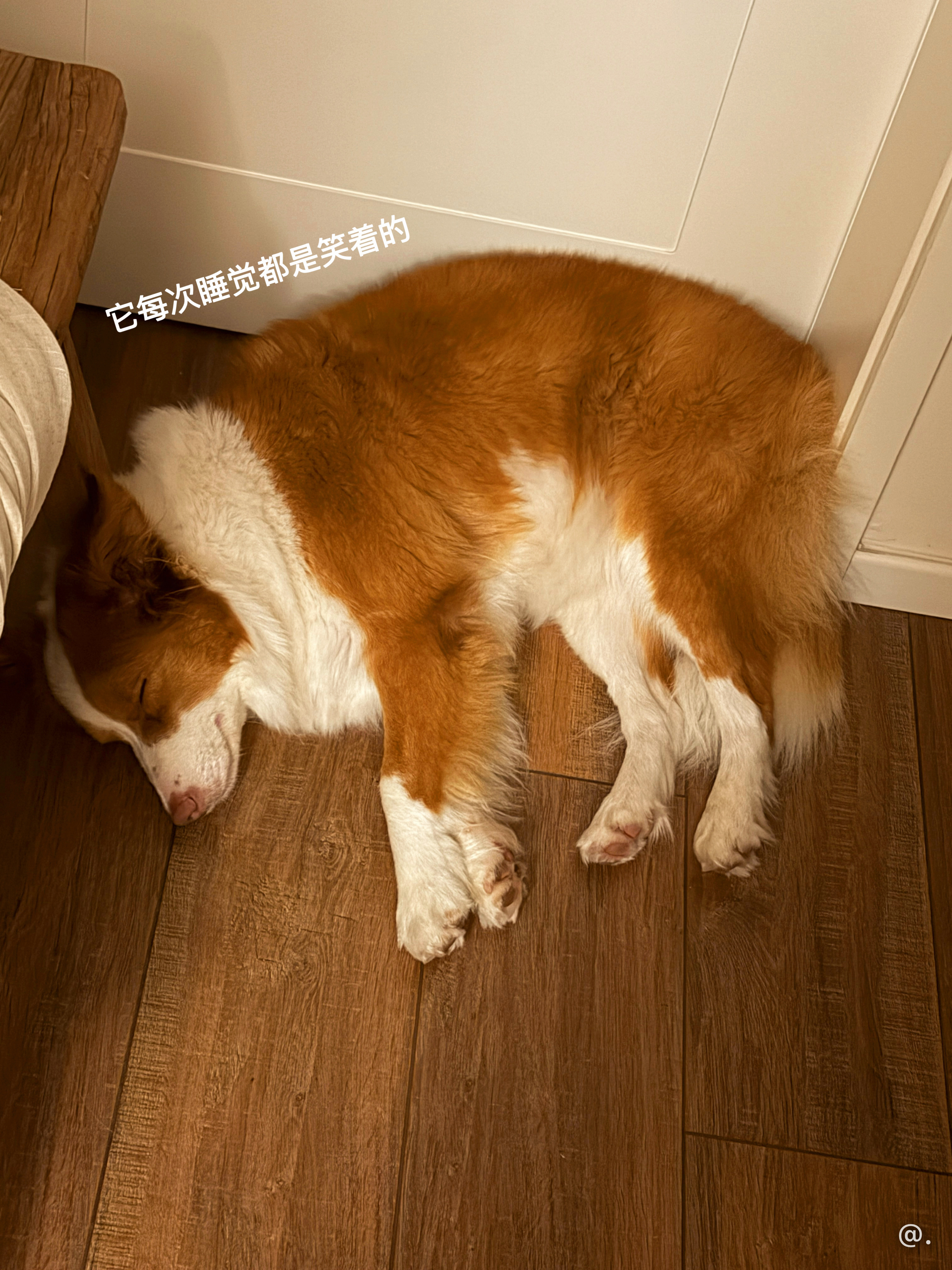 幺幺三：哥哥每次睡觉都是睁眼的 