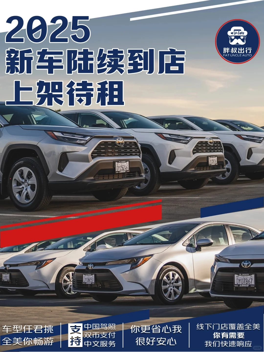 2025款新车陆续到店啦！上架待租！