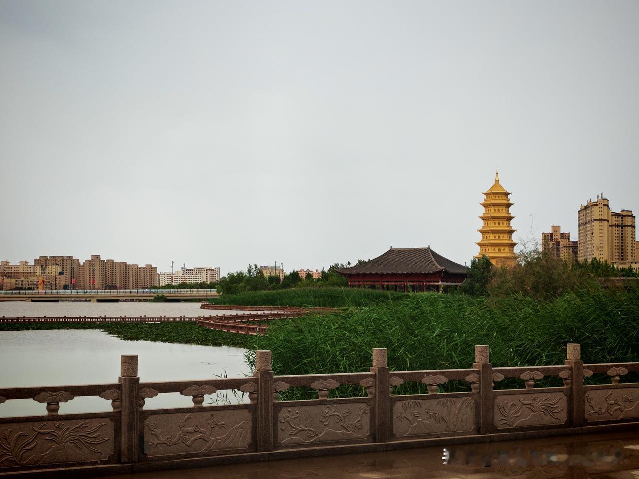 随拍夏日最美瞬间阴云漫过澄澈的天际，一汪静水静静铺展，岸边芦苇葱郁繁茂，随风漾出