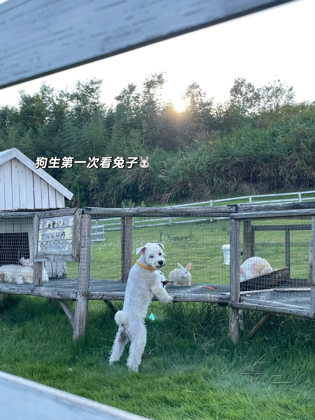 读博吗？读那种随地大小学的博🥹