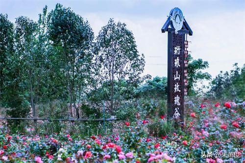 芜湖珩琅山玫瑰谷位于芜湖市湾沚区红杨镇梅溪塘村，紧邻铜宣高速珩琅山出入口，是省、