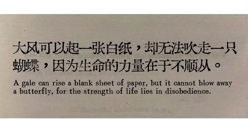 风能够掀起一张白纸，却吹不走一只蝴蝶，因为生命的力量源于不屈服。  冯骥才 ​​
