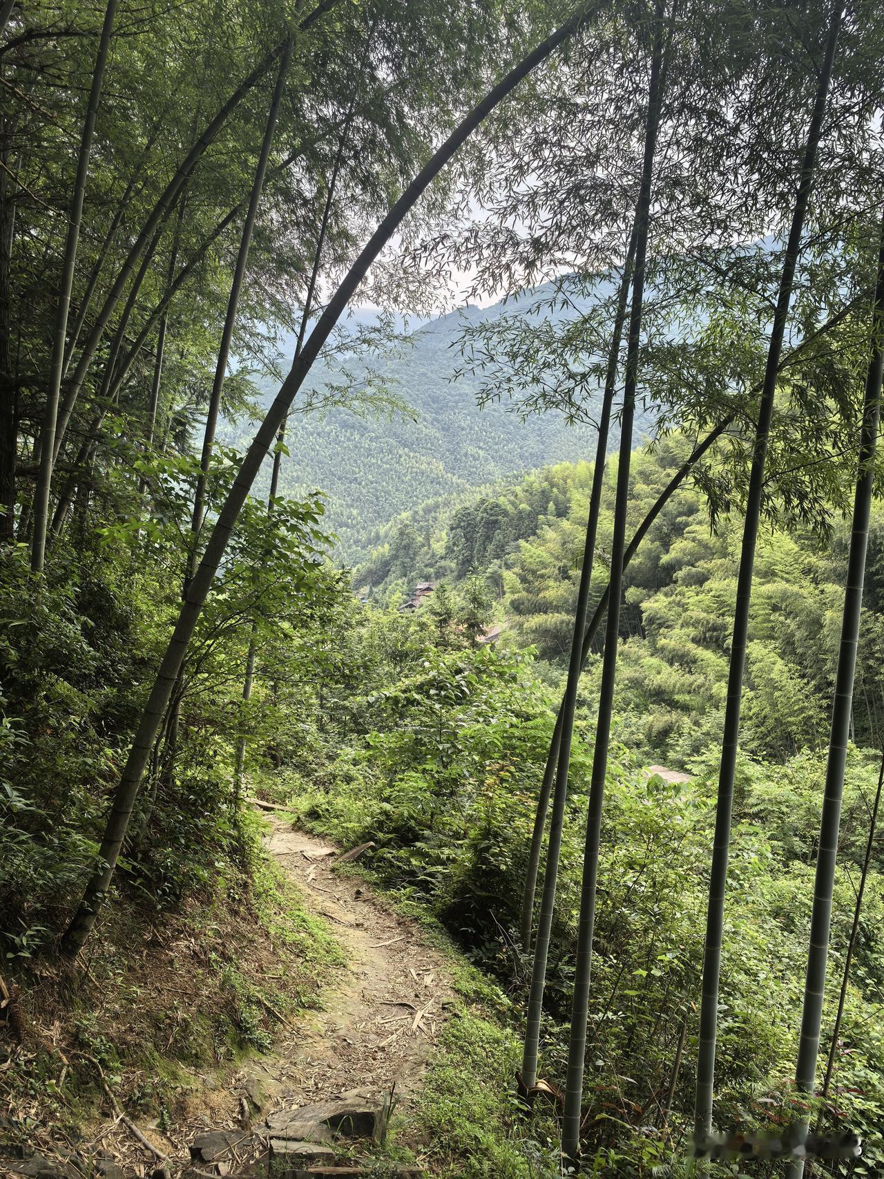身子像无骨的一滩烂泥，卷缩在床的一角，依然无力。

食欲好了一点，特别想喝粥和汤