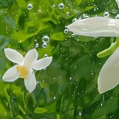 0000不管世间如何风雨变幻，有人依然选择善良，用自己的行动去感染其他人。善良迎