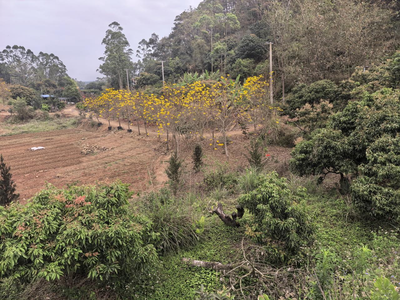 春天到了看看大好河山的美境