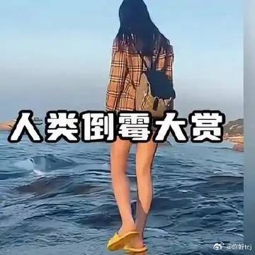《憨憨人类的倒霉瞬间，人类迷惑行为大赏》播放量：1.6万<br />点...