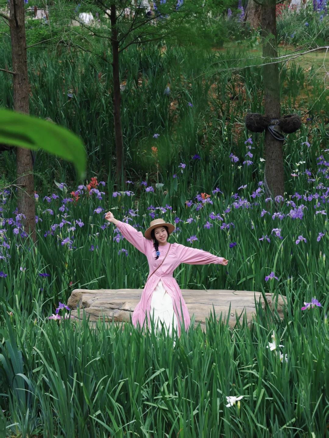 在广州！蓝紫色花海很梦幻很浪漫💙💜