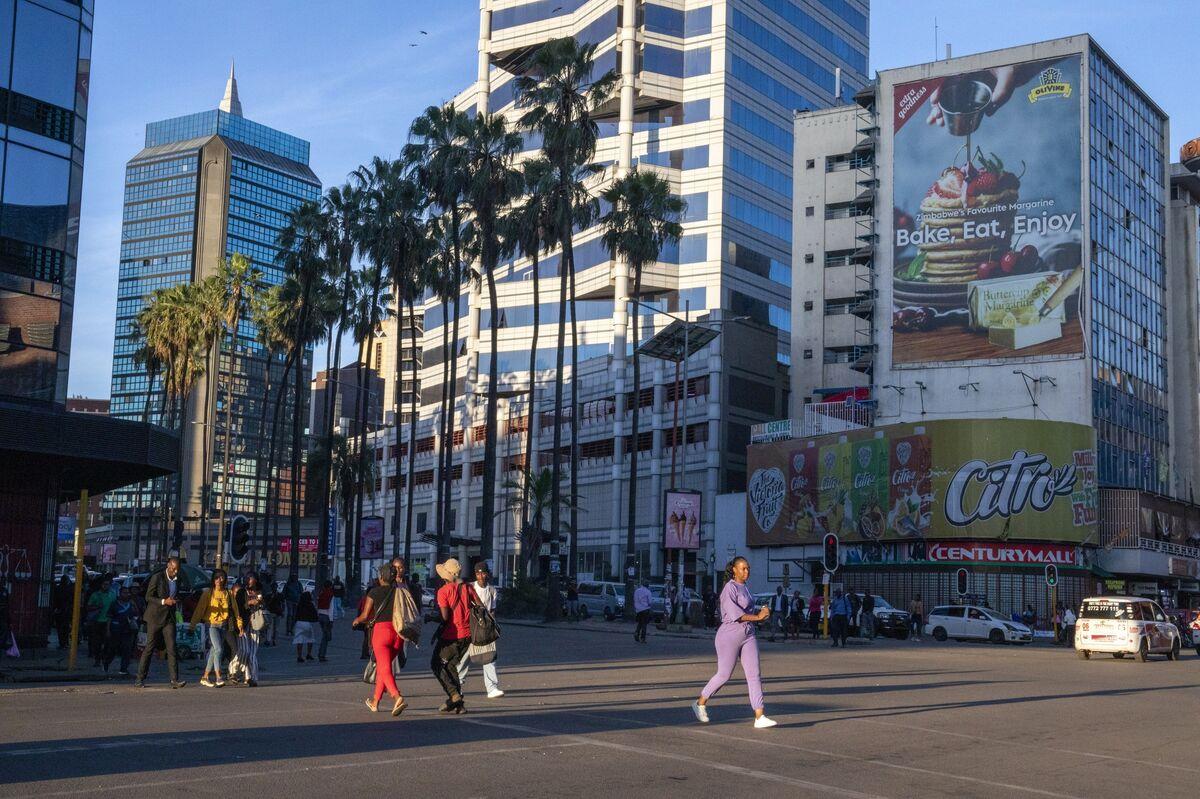 津巴布韦去年外汇汇款增长14%，达24.5亿美元