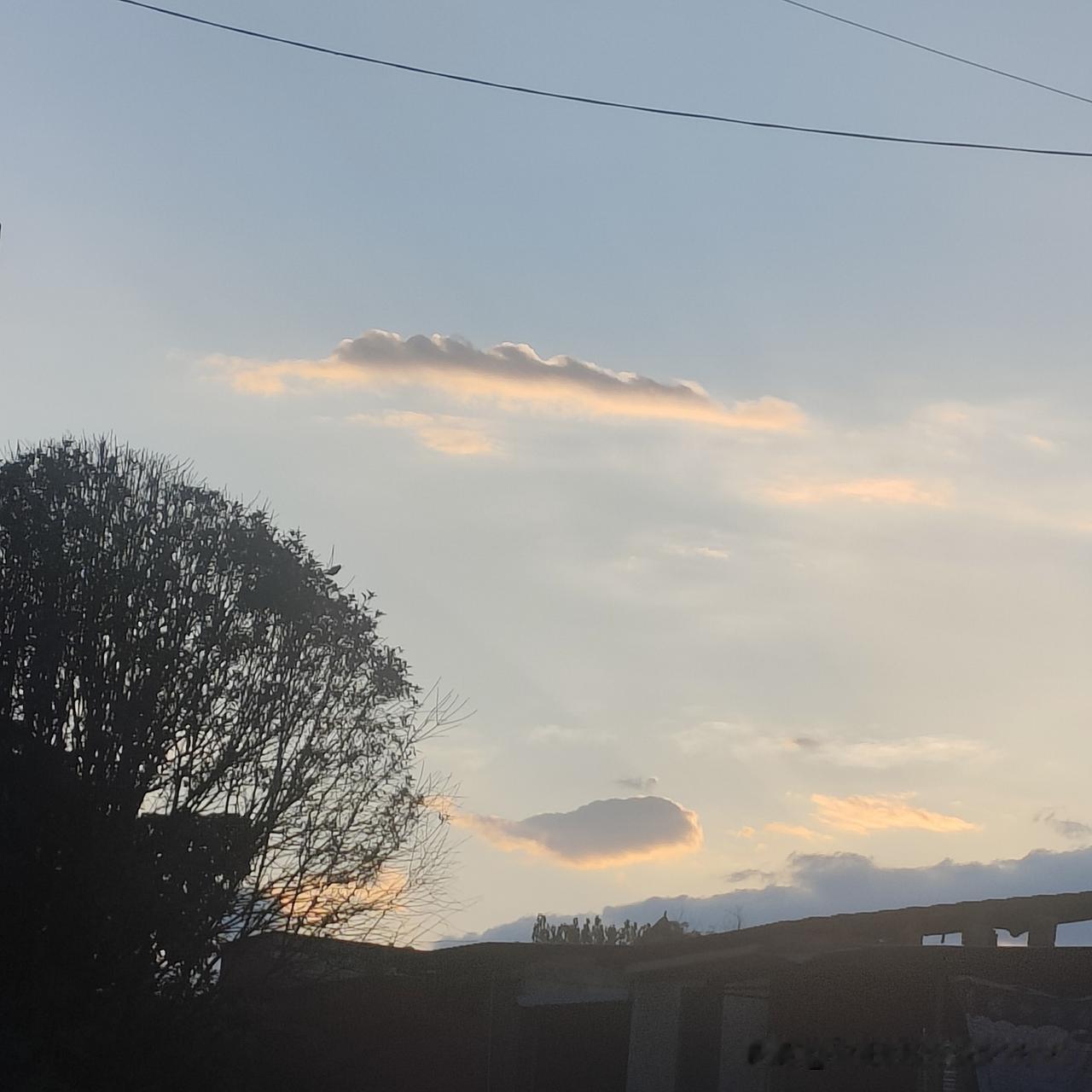 夏日生活打卡季 
夏日的清晨，是一天中最惬意的时段。我家住在长江边小城，夏日清晨