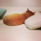 小驴驴热聚娱乐